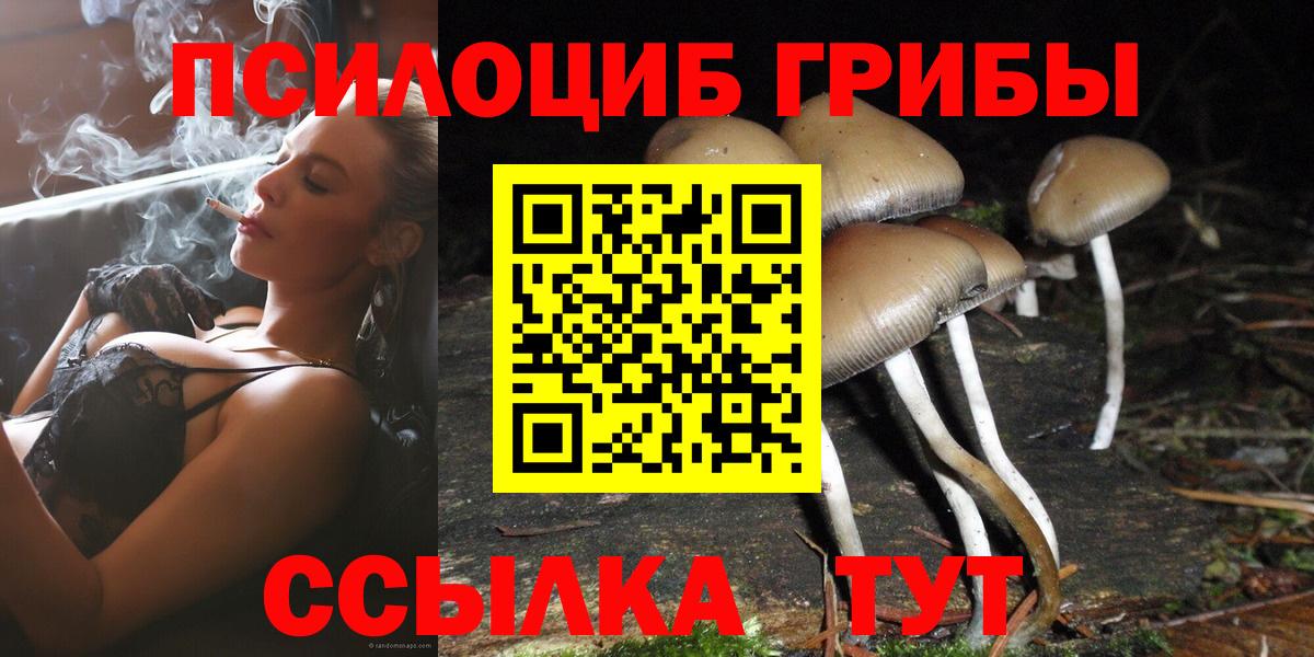 Тихвин  Псилоцибиновые грибы Magic Shrooms  Вход с VPN 