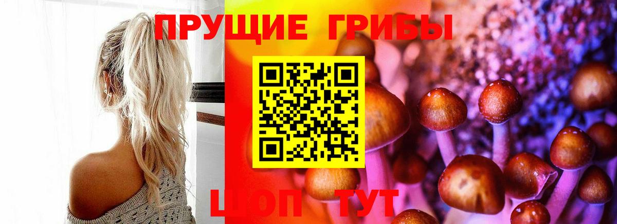 Галлюциногенные грибы мухоморы Тихвин